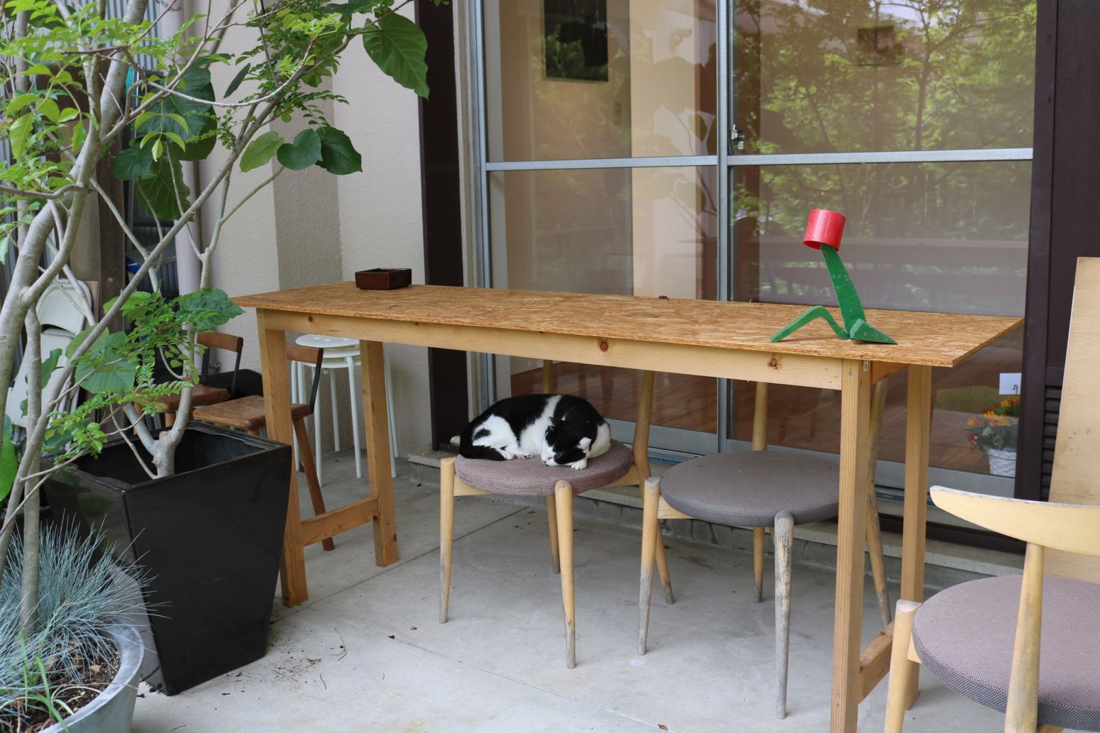 神農理恵 Rie Shinno — ゆくりか, cat resting beneath table