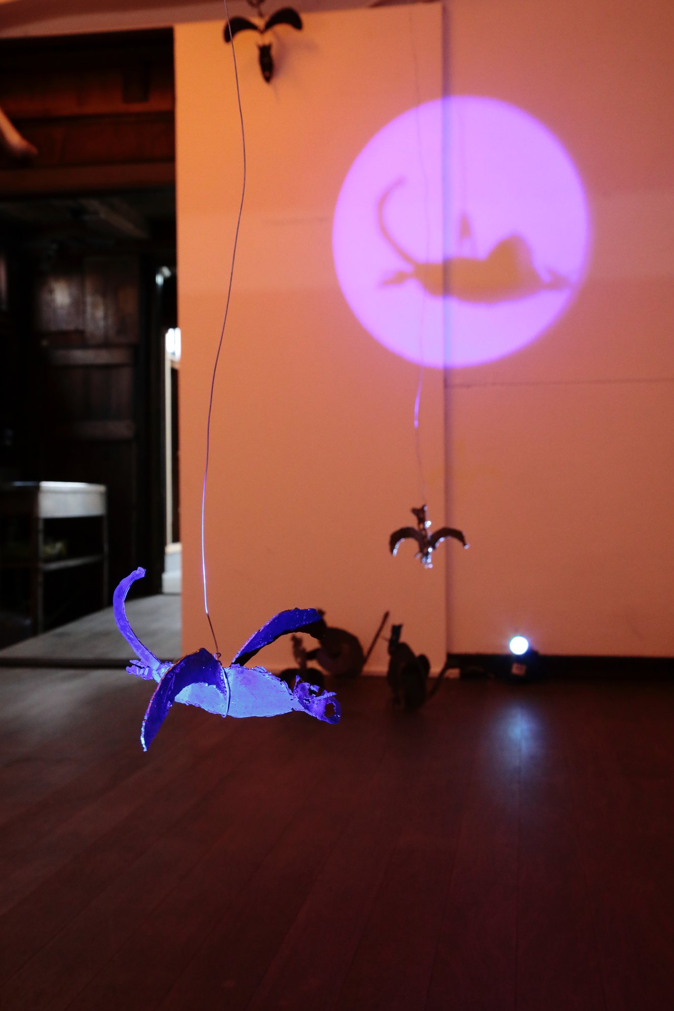 Heptapod Solresol Ruins — exhibition view 02, photo by Kai Maetani