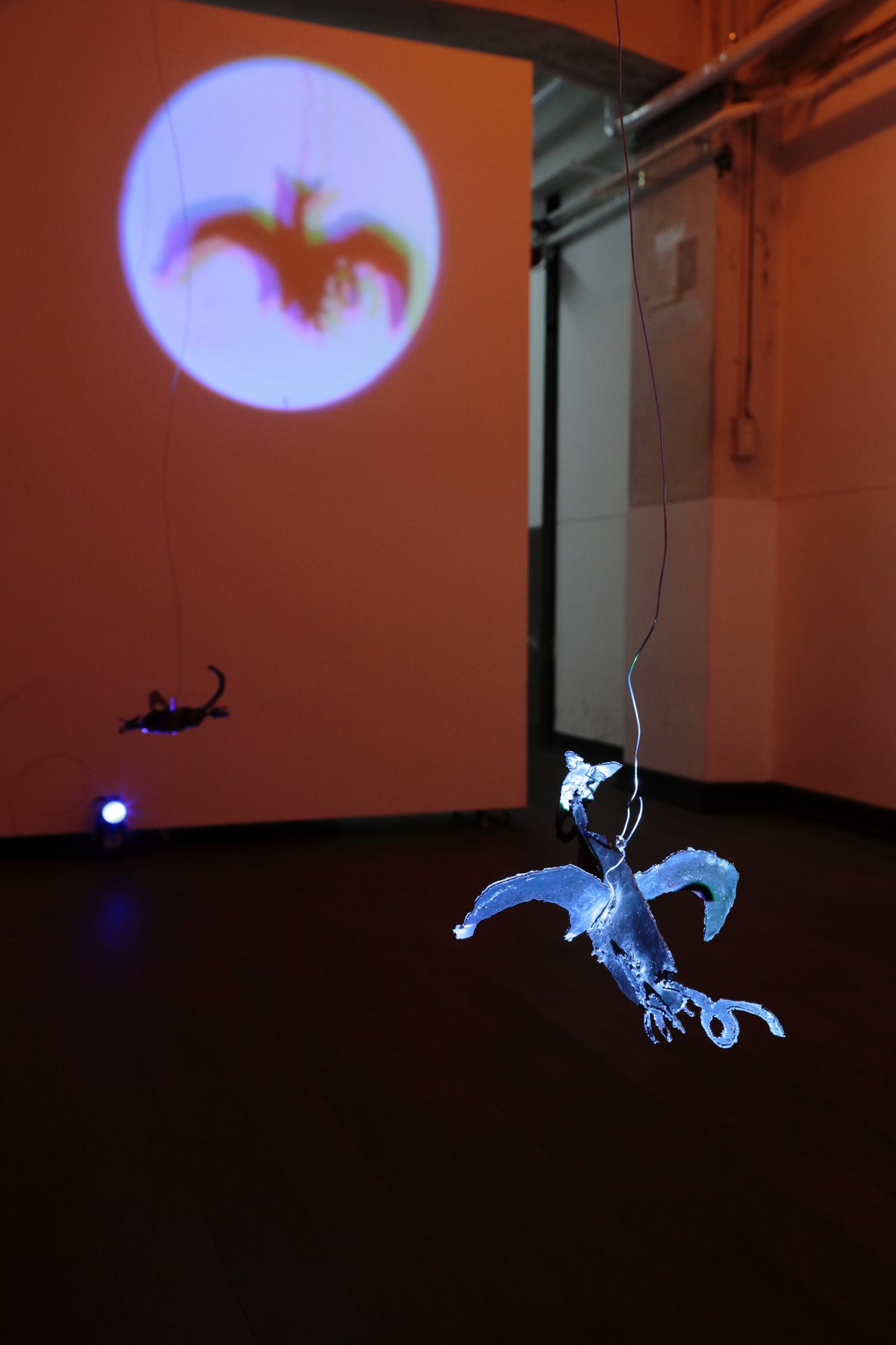 Heptapod Solresol Ruins — exhibition view 03, photo by Kai Maetani