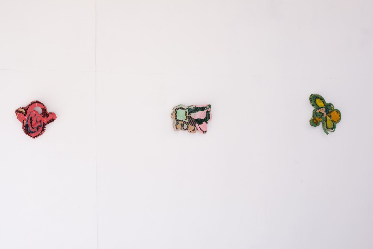 神農理恵 Rie Shinno — Nagoya Zokei University Graduation Exhibition