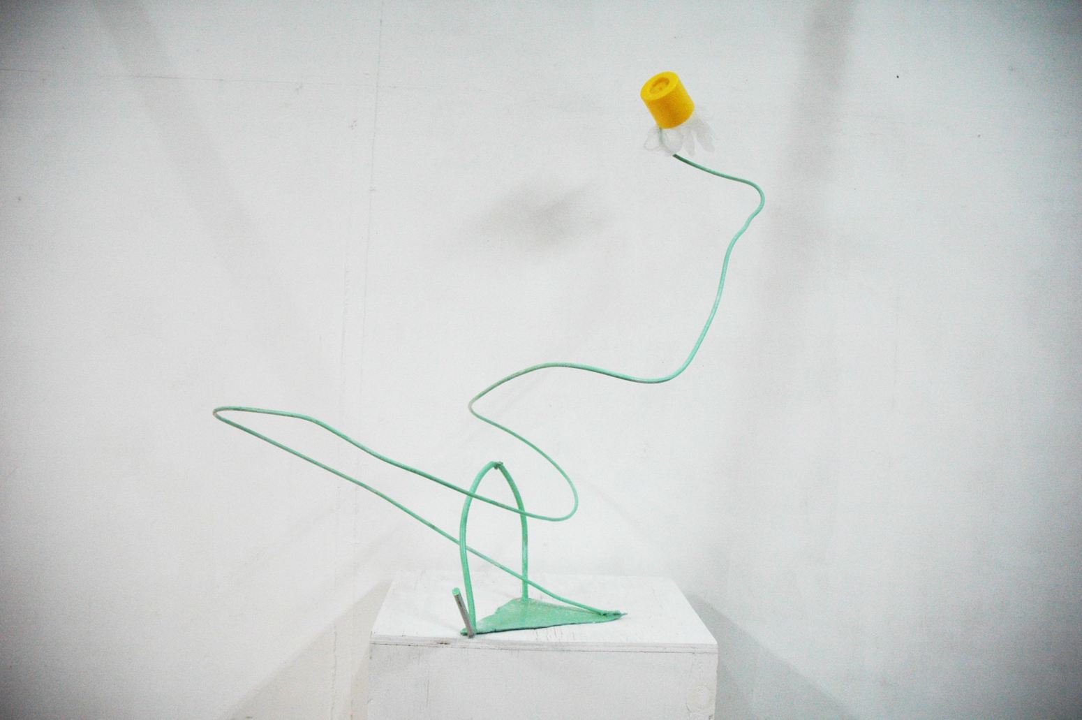 神農理恵 Rie Shinno — White Flower, 2017